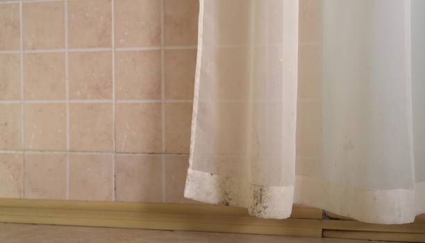 Mold Remediation for Vacation Homes in Richmond West, FL